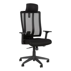 Premium High Back Ergonomic Office Chair - Black