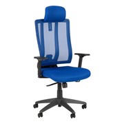 Premium High Back Ergonomic Office Chair