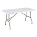 Rectangular Blow Molded Plastic Folding Table (30" W x 60" L)