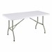 Rectangular Blow Molded Plastic Folding Table (30" W x 60" L)