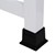 PFAM81330