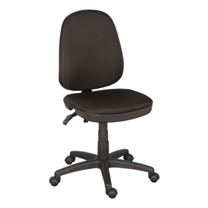 Multi-Adjustable Office Chair