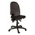 Multi-Adjustable Office Chair - Back view