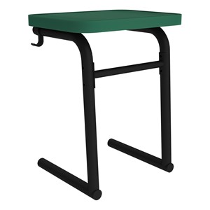 PRO84379
