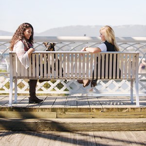 Bennington Series Bench