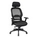 Breathable Mesh Back Chair w/ Adjustable Headrest