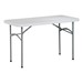 Resin Folding Table (24" W x 48" L)