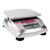 Valor 3000 Xtreme Precision Washdown Scale