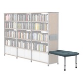 Information Commons Library Shelving Benches