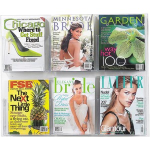 Clear2c Magazine Display (Six Openings)