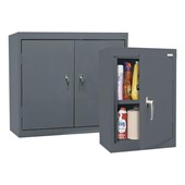 Solid Door Wall Cabinet