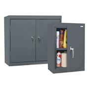 Solid Door Wall Cabinet