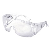 Maxview Clear Lens Goggles