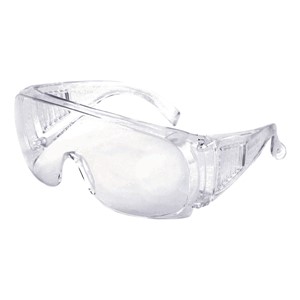 Maxview Clear Lens Goggles