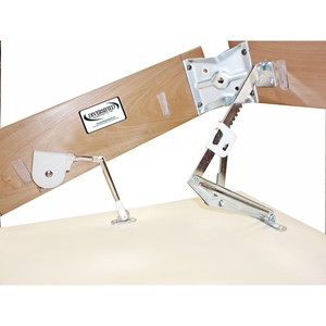 PFAM4920