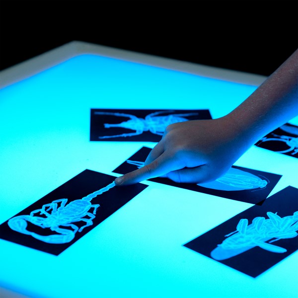 Kids Light Table