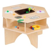 Science Activity Table