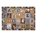 Alphabet Images Natural Colors Rug™