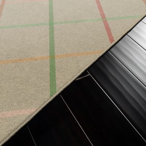 Colorful Lines Rug