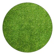 Grass Rug