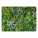 Vegetation Rug