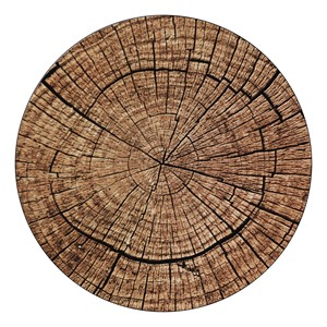 Trunk Rug