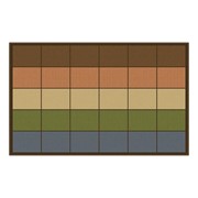 Natural Colors Seating Row Rug
