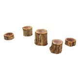 Cedar Stumps