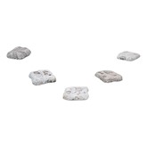 Fossil Stepping Stones
