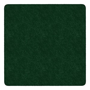 Healthy Living Solid Color Rug - Square (6' W x 6' L) - Ermerald Green