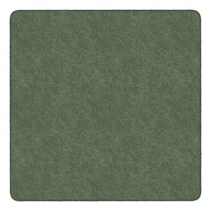 Healthy Living Solid Color Rug - Square (6' W x 6' L) - Sage Green