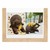 See-Through Wall Frame (36" W x 28" H)