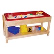 Sand & Water Table w/ Shelf