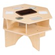 Science Activity Table - Assembled