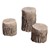Tree Stumps