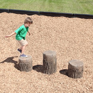 Tree Stumps
