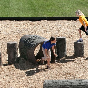 Log Tunnel