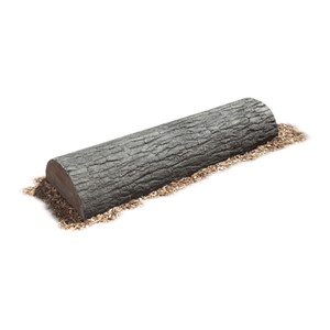 Fallen Tree Balance Beam