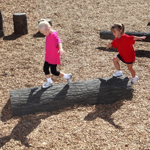 Fallen Tree Balance Beam (6' L)