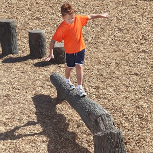 Fallen Tree Balance Beam (8' L)
