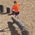 Fallen Tree Balance Beam (8' L)