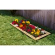 Garden Bed
