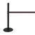 ADA-Compliant Belt Stanchion - Shown w/ black post