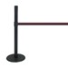 ADA-Compliant Belt Stanchion - Shown w/ black post