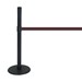 ADA-Compliant Belt Stanchion - Shown w/ black post