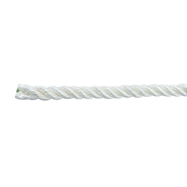 Twisted Nylon Rope (1' L)