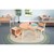 Nature View Live Edge Chair - 14" H
