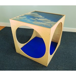 Acrylic Top Play House Cube w/ Floor Mat Set