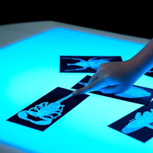 Brilliant Light Table (30" W) - Sensory toys not included