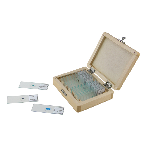 Microscopes & Microscope Cameras